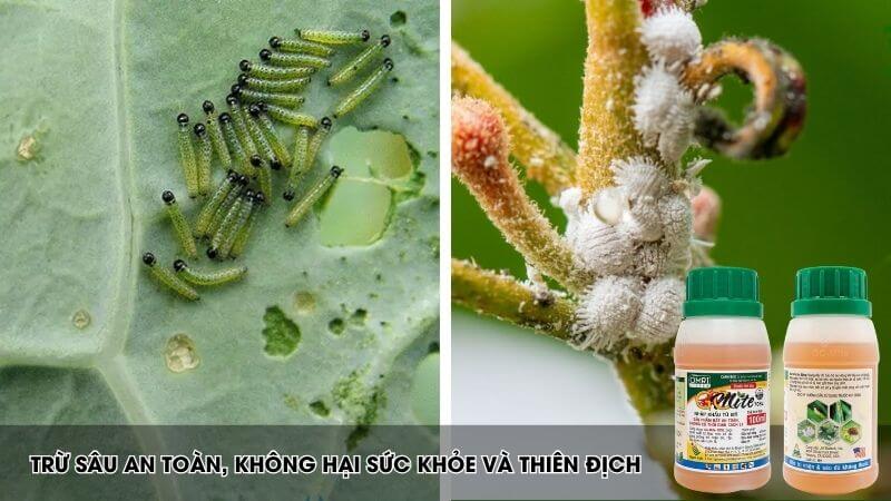 GC Mite đặc trị sâu ăn lá, rầy rệp