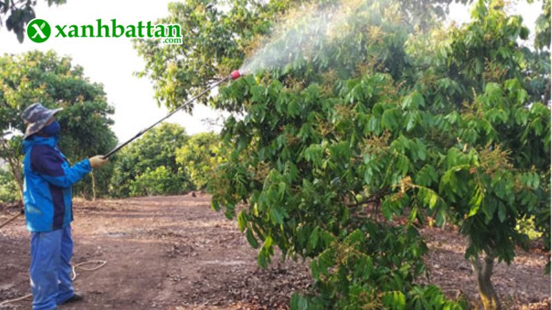 Hướng dẫn cách sử dụng và bảo quản sản phẩm GC Mite 70SL