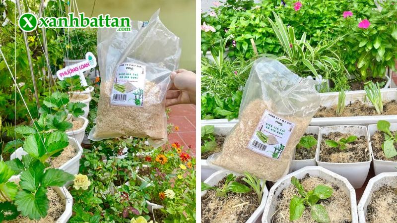Hướng dẫn cách sử dụng, bảo quản giá thể vỏ trấu và bả mía ép bánh