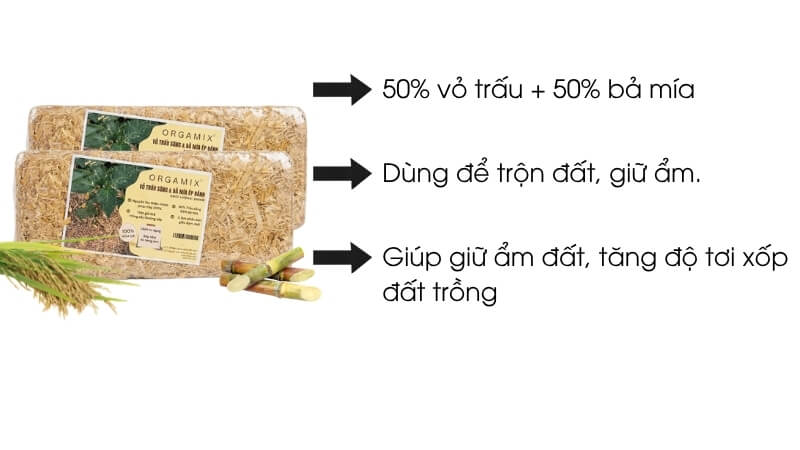 Gia-The-Vo-Trau-Va-Ba-Mia-Ep-Banh-Tron-Dat-Trong-Giu-Am-U-Phan-Huu-Co-8.jpg?v=1778296386