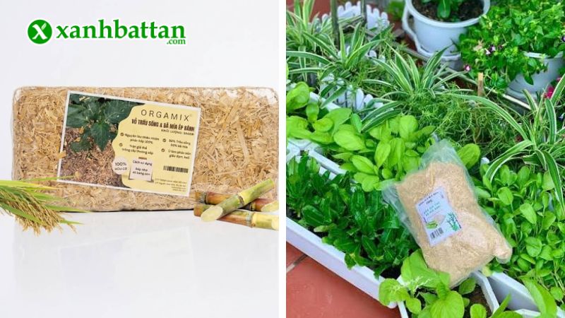 Giá thể vỏ trấu và bả mía ép bánh là gì?
