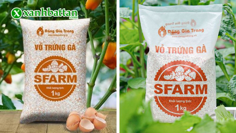 Giá thể vỏ trứng gà đã qua xử lý Sfarm là gì?