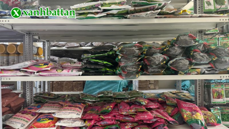 Xanh Bất Tận - Địa chỉ mua hạt giống cây trồng giá tốt tại TP.HCM?