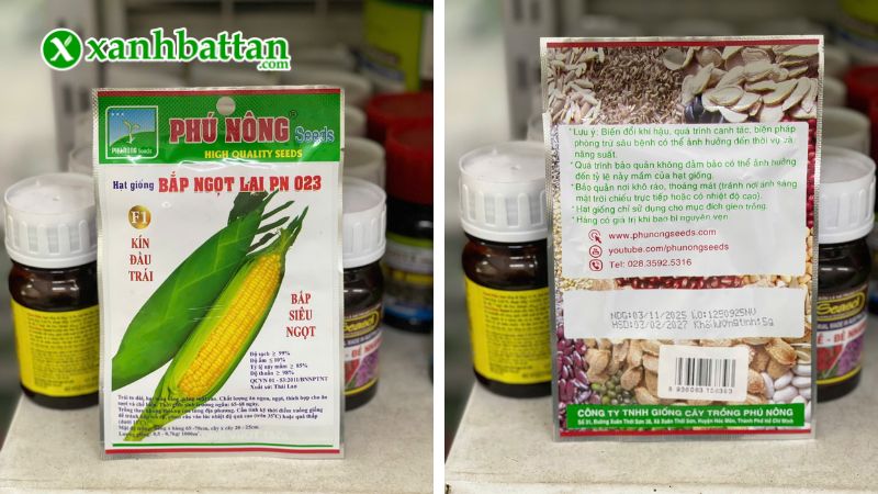 Hạt giống cây bắp ngọt lai (bắp Mỹ) là gì?