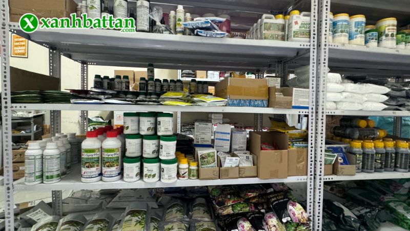 Xanh Bất Tận - Địa chỉ mua hạt giống cây trồng giá tốt tại TP.HCM?