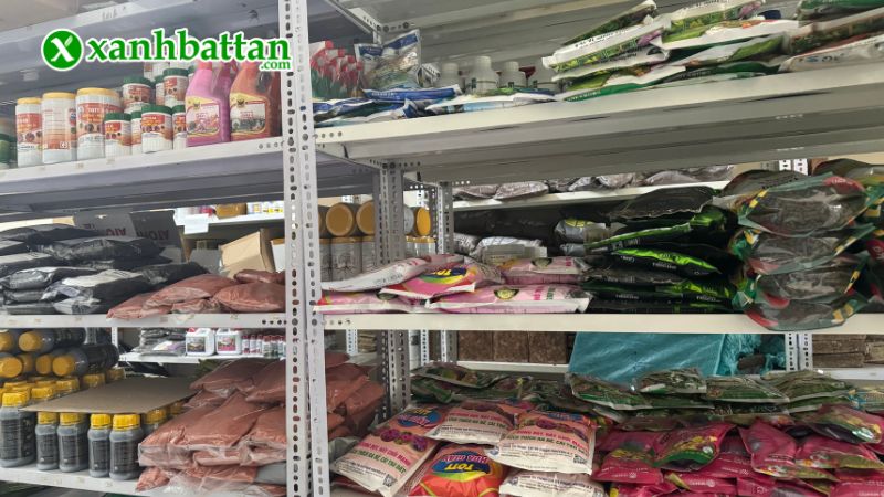 Xanh Bất Tận - Địa chỉ mua hạt giống cây trồng giá tốt tại TP.HCM?
