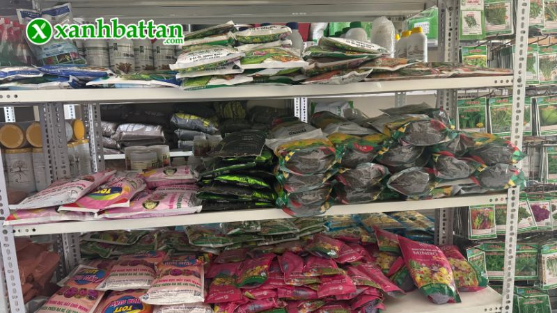 Xanh Bất Tận - Địa chỉ mua hạt giống cây trồng giá tốt tại TP.HCM?