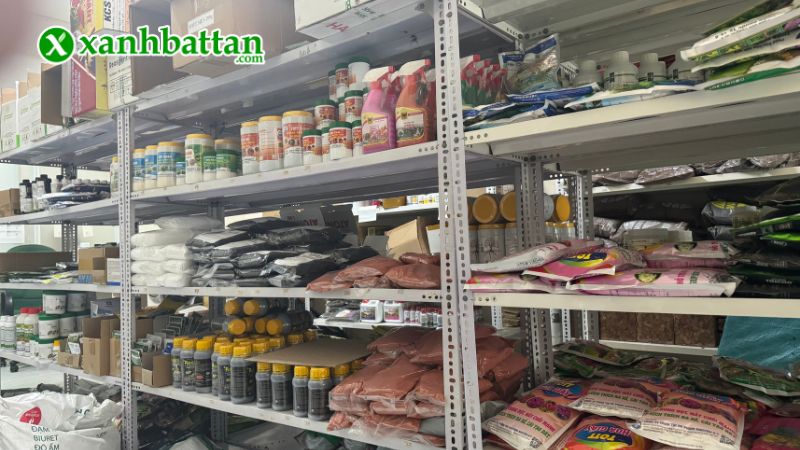 Xanh Bất Tận - Địa chỉ mua hạt giống cây trồng giá tốt tại TP.HCM?