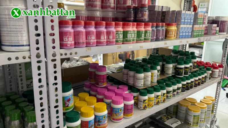 Xanh Bất Tận - Địa chỉ mua hạt giống cây trồng giá tốt tại TP.HCM?