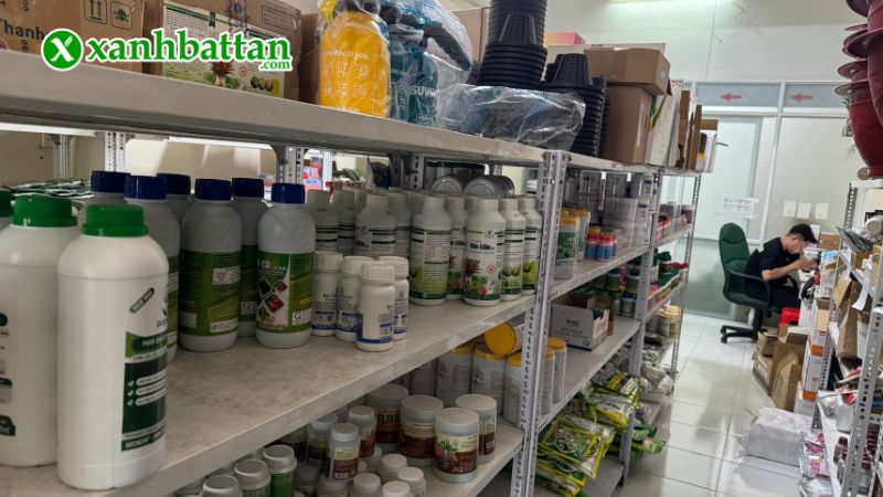 Xanh Bất Tận - Địa chỉ mua hạt giống cây trồng giá tốt tại TP.HCM?