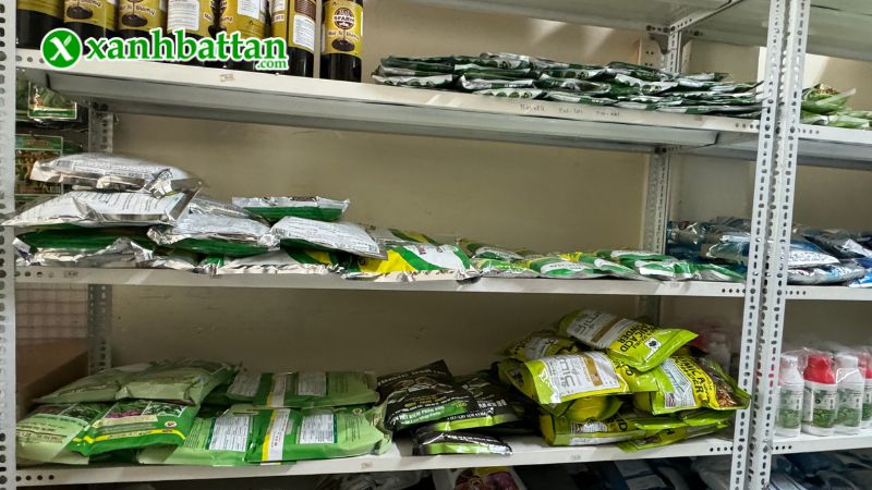 Địa chỉ mua hạt giống cây trồng uy tín tại TP.HCM?
