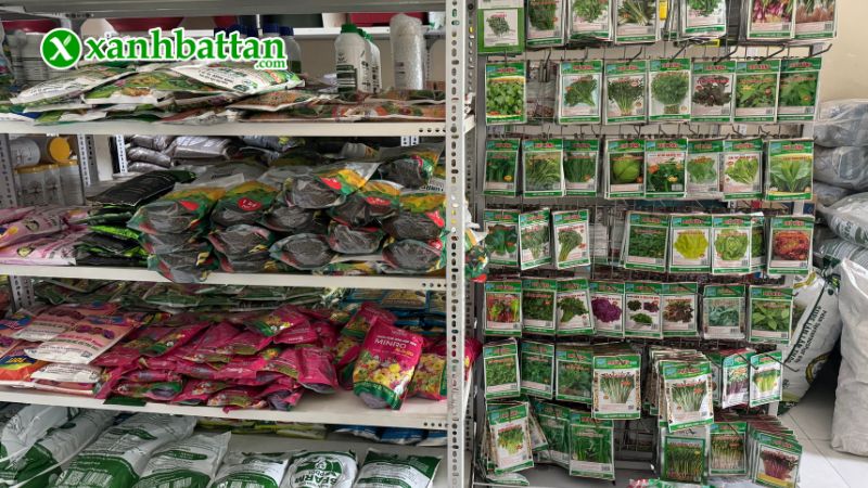 Xanh Bất Tận - Địa chỉ mua hạt giống cây trồng giá tốt tại TP.HCM?