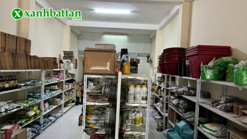 Xanh Bất Tận - Địa chỉ mua hạt giống cây trồng giá tốt tại TP.HCM?