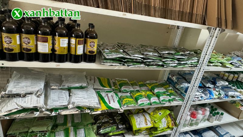 Xanh Bất Tận - Địa chỉ mua hạt giống cây trồng chất lượng tại TP.HCM?