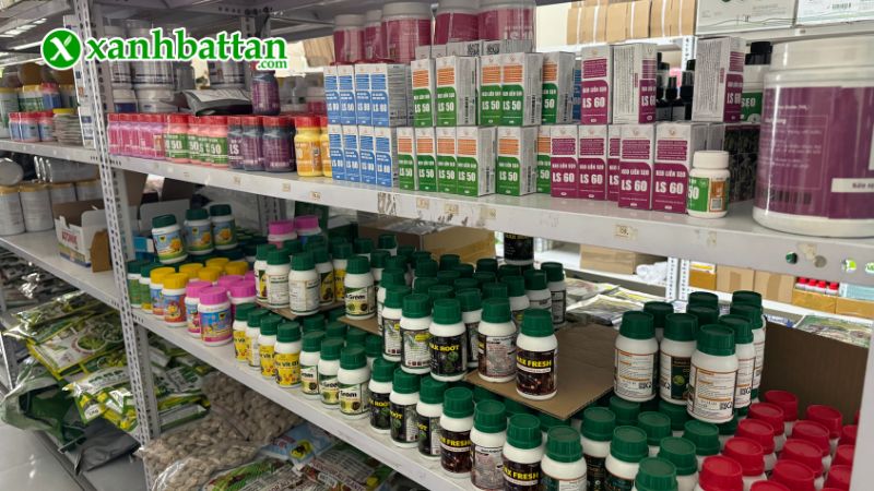 Xanh Bất Tận - Địa chỉ mua hạt giống cây trồng giá tốt tại TP.HCM?