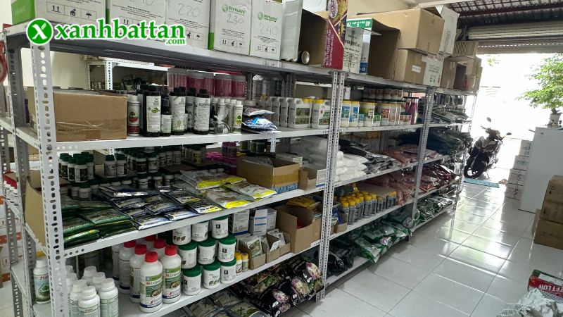 Xanh Bất Tận - Địa chỉ mua hạt giống rau ăn lá giá tốt tại TP.HCM?