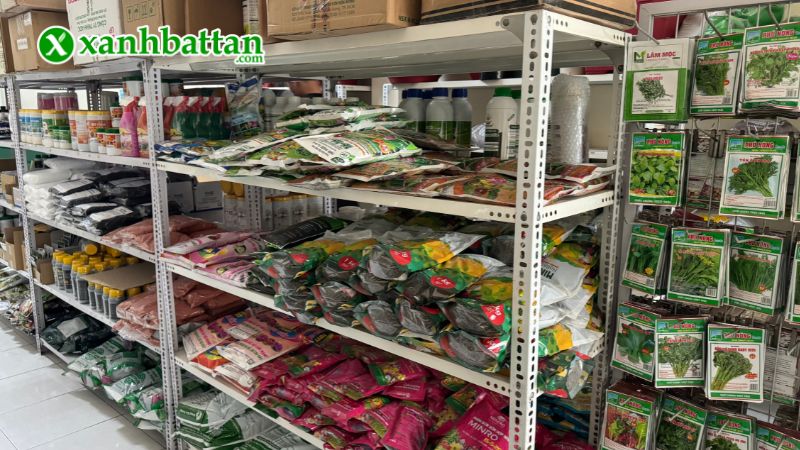 Xanh Bất Tận - Địa chỉ mua hạt giống cây trồng giá tốt tại TP.HCM?