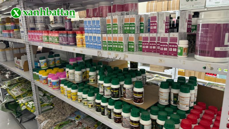 Xanh Bất Tận - Địa chỉ mua hạt giống cây trồng giá tốt tại TP.HCM?