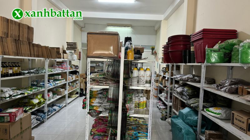 Xanh Bất Tận - Địa chỉ mua hạt giống cây trồng giá tốt tại TP.HCM?