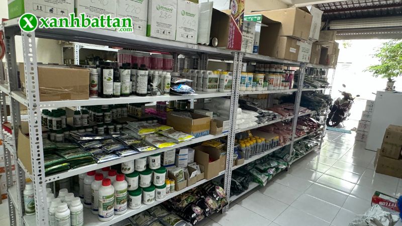 Xanh Bất Tận - Địa chỉ mua hạt giống cây trồng giá tốt tại TP.HCM?