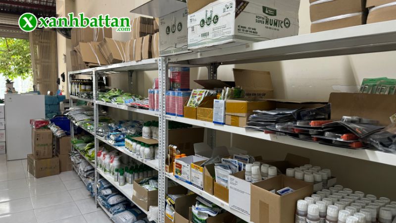 Xanh Bất Tận - Địa chỉ mua hạt giống cây trồng giá tốt tại TP.HCM?