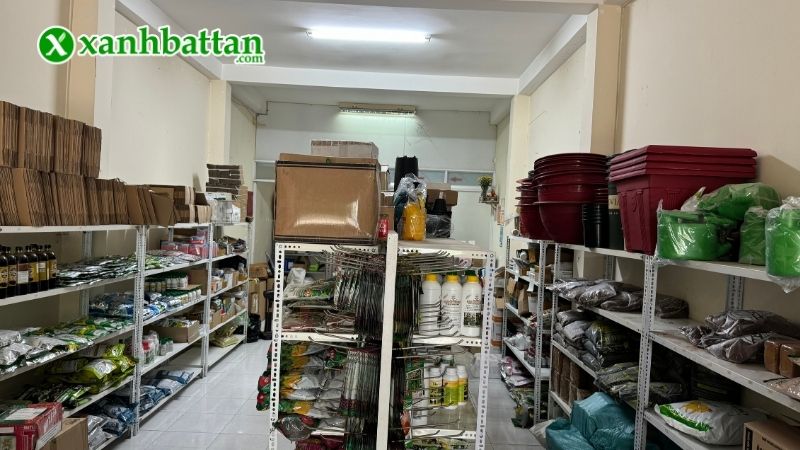 Địa chỉ mua hạt giống hoa Vạn Thọ Phú Nông giá tốt tại TP.HCM?