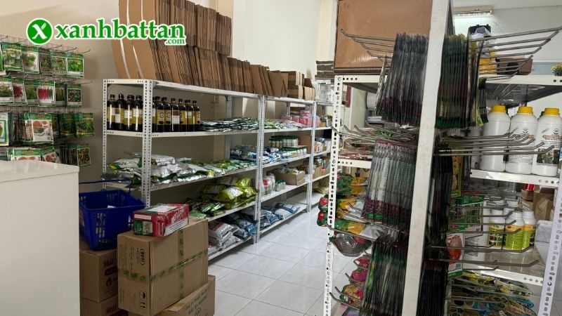 Địa chỉ mua hạt giống hoa Vạn Thọ Phú Nông giá tốt tại TP.HCM?