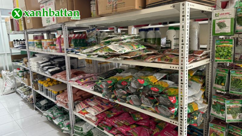 Xanh Bất Tận - Địa chỉ mua hạt giống cây trồng giá tốt tại TP.HCM?