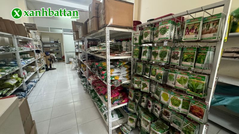 Xanh Bất Tận - Địa chỉ mua hạt giống cây trồng uy tín tại TP.HCM?