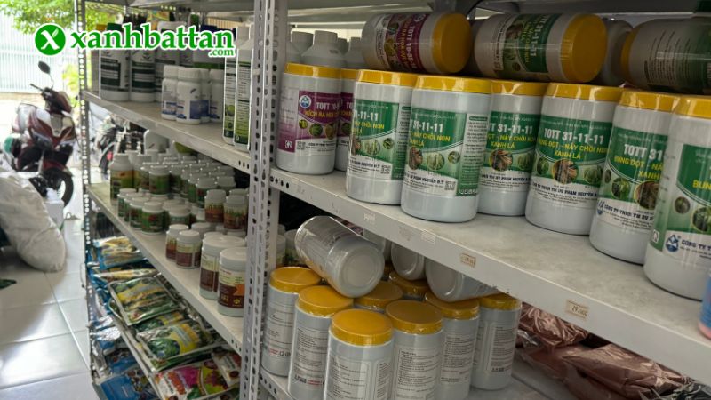 Xanh Bất Tận - Địa chỉ mua hạt giống cây trồng chất lượng tại TP.HCM?
