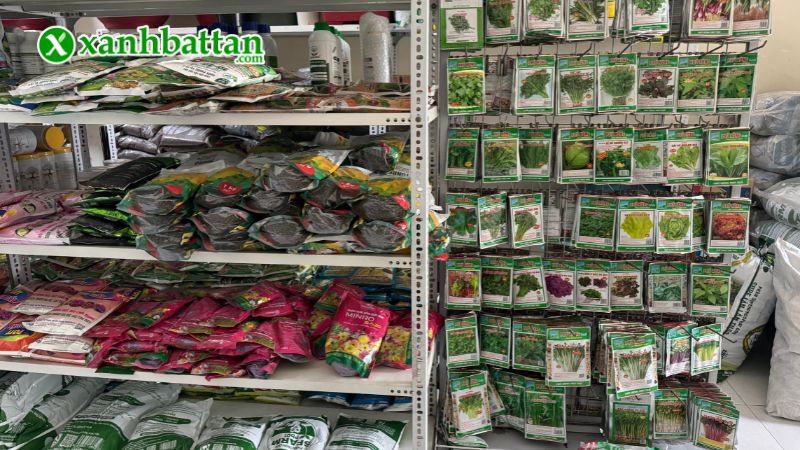 Xanh Bất Tận - Địa chỉ mua hạt giống cây trồng chất lượng tại TP.HCM?
