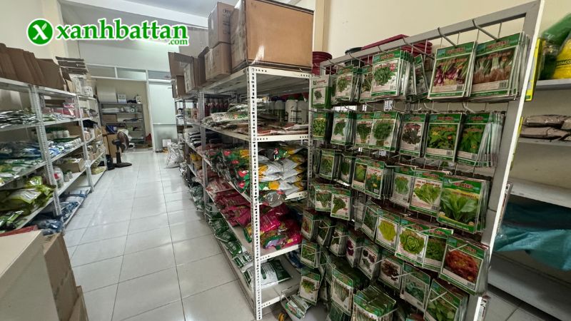 Xanh Bất Tận - Địa chỉ mua hạt giống cây trồng giá tốt tại TP.HCM?