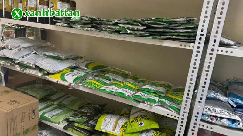 Xanh Bất Tận - Địa chỉ mua hạt giống cây trồng giá tốt tại TP.HCM?