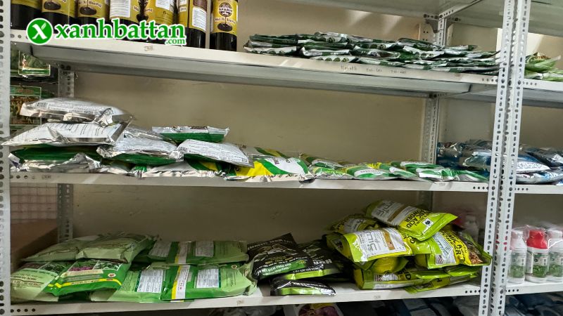 Xanh Bất Tận - Địa chỉ mua hạt giống cây trồng giá tốt tại TP.HCM?