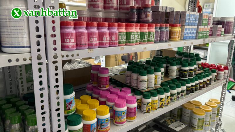 Xanh Bất Tận - Địa chỉ mua hạt giống cây trồng giá tốt tại TP.HCM?