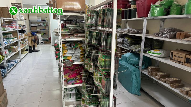 Xanh Bất Tận - Địa chỉ mua hạt giống cây trồng giá tốt tại TP.HCM?