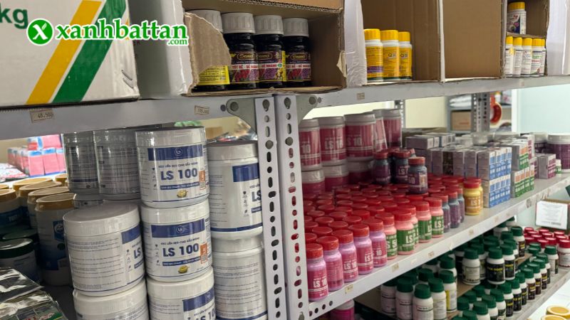 Xanh Bất Tận - Địa chỉ mua hạt giống cây trồng giá tốt tại TP.HCM?