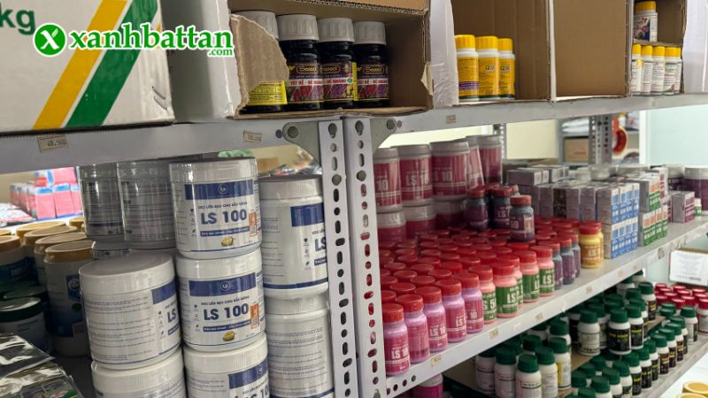 Xanh Bất Tận - Địa chỉ mua hạt giống cây trồng giá tốt tại TP.HCM?