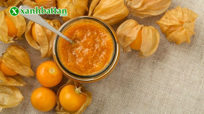 Hạt giống cây tầm bóp là gì?