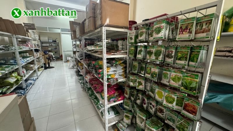 Địa chỉ mua hạt giống hoa Vạn Thọ Rồng vàng giá tốt tại TP.HCM?
