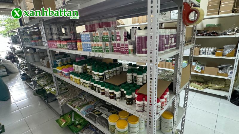 Xanh Bất Tận - Địa chỉ mua hạt giống cây trồng giá tốt tại TP.HCM?