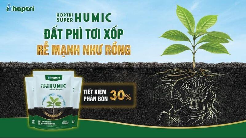 Humic Hợp Trí kích rễ, cân bằng pH đất