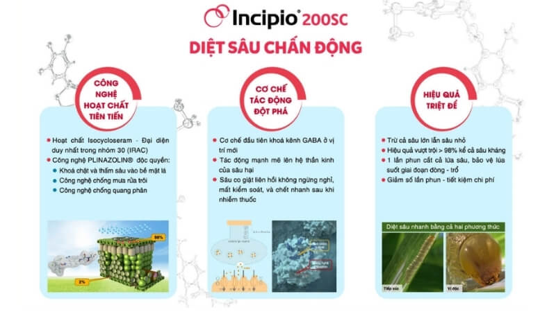 Hoạt chất diệt sâu mới trừ được sâu kháng thuốc