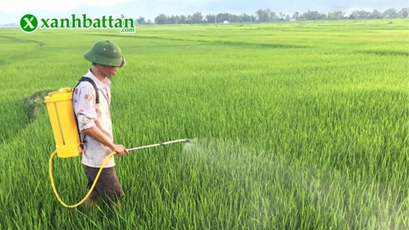Hướng dẫn cách sử dụng và bảo quản sản phẩm