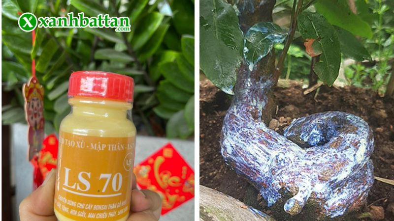 Hướng dẫn cách sử dụng, bảo quản keo tạo xù, mập thân LS70