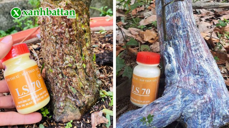 Keo tạo xù, mập thân LS70 là gì?