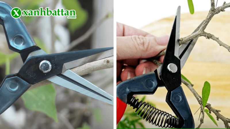 Kéo cắt cành Tools Scissor là gì?