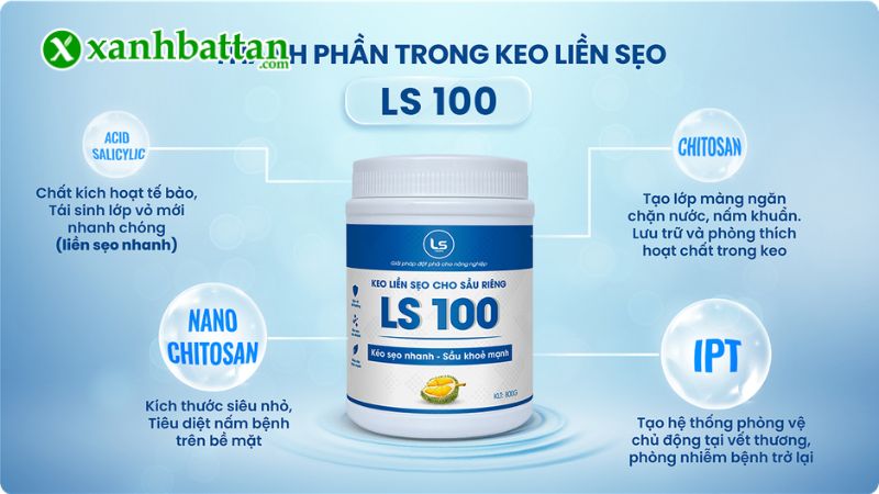 Keo liền sẹo cho Sầu riêng LS 100 là gì?