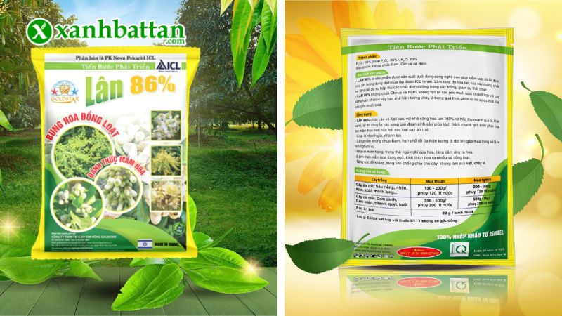 Phân bón lân 86 kích hoa nghịch mùa, tạo mầm hoa cực mạnh là gì?