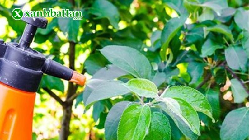 Hướng dẫn cách sử dụng và bảo quản sản phẩm Manco Xanh Fovathane 80WP